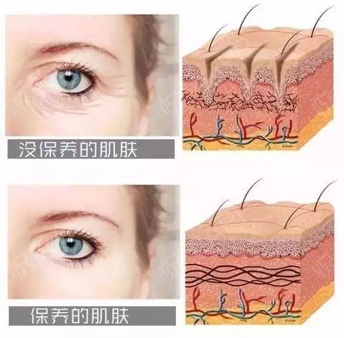 人体衰老的主要原因